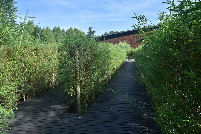Horyniec-Zdrój – Horyniec-Zdrój
